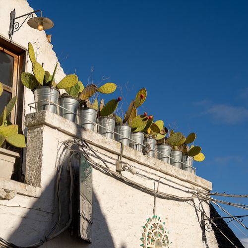 Alberobello
