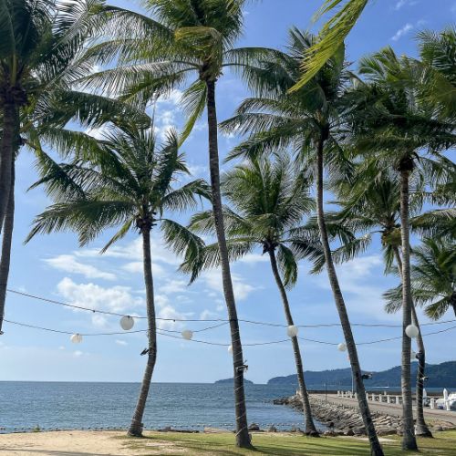 Pacific Sutera Hotel