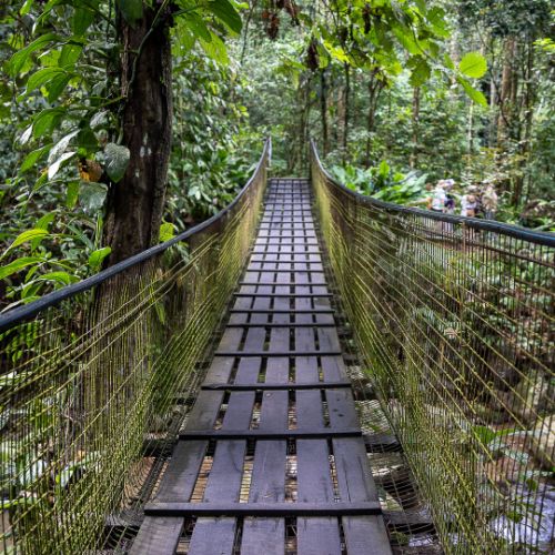 Mari Mari Cultural Village