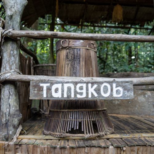 Mari Mari Cultural Village