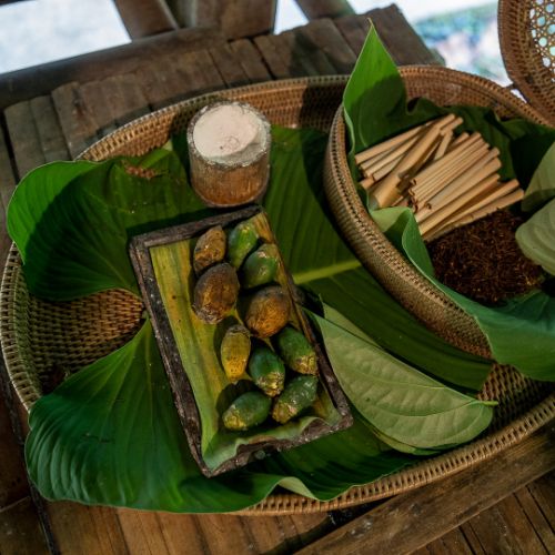 Mari Mari Cultural Village