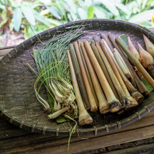 Mari Mari Cultural Village