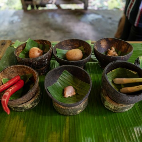 Mari Mari Cultural Village