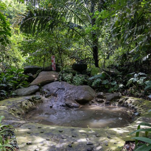 Mari Mari Cultural Village