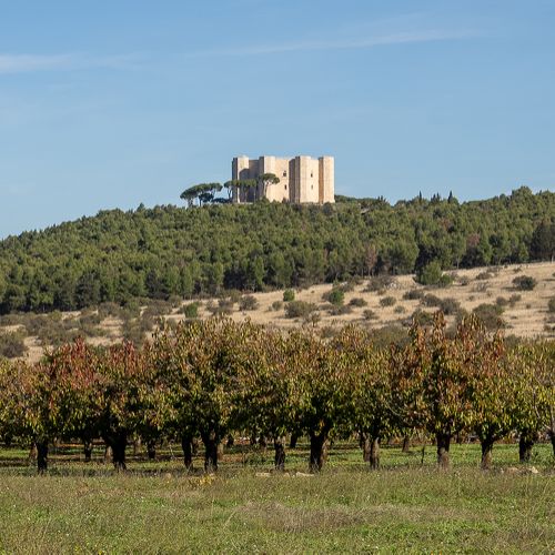 Castel del Monte